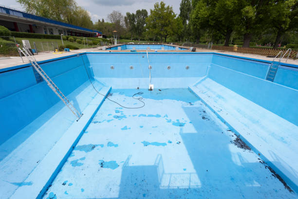 Best Residential water damage restoration  in Lochearn, MD