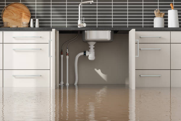 Best Ceiling water damage repair  in Lochearn, MD