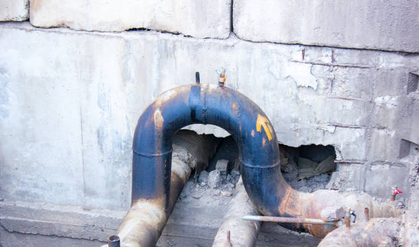 Best Professional water damage repair  in Lochearn, MD