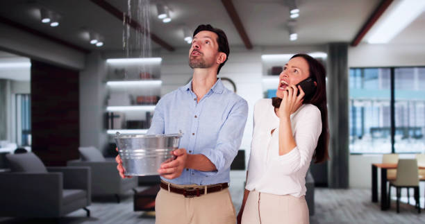 Best Ceiling water damage repair  in Lochearn, MD