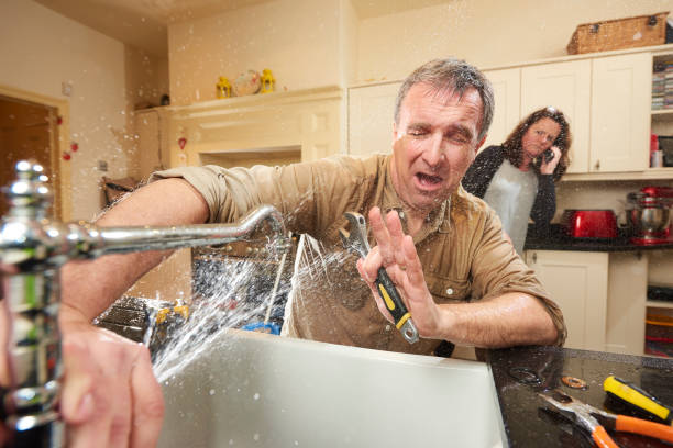 Best Water damage restoration mold remediation  in Lochearn, MD